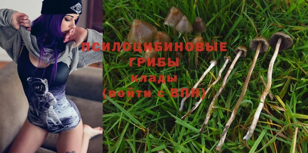 мет Верея