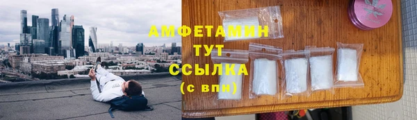 прущие грибы Бугульма